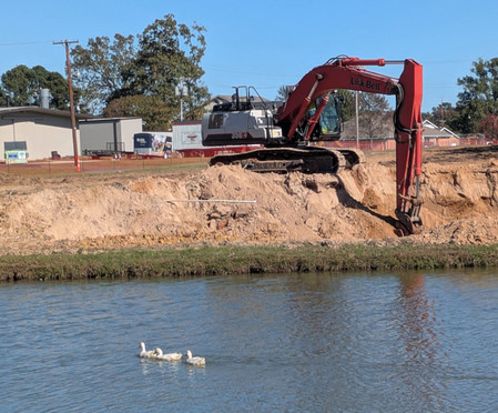 An excavator digs on the pond expansion while ducks swim past